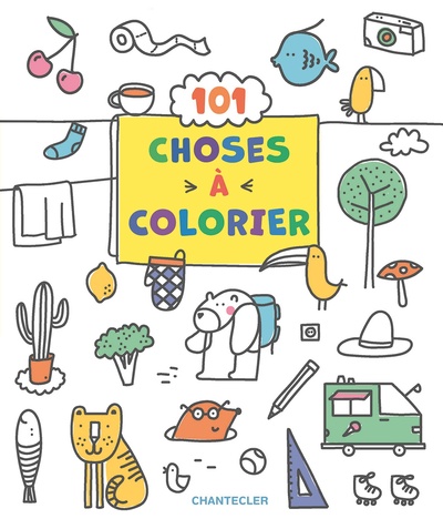 101 CHOSES A COLORIER
