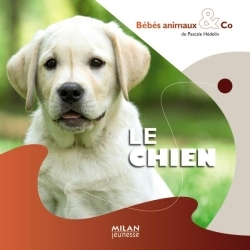 CHIEN - BEBES ANIMAUX & CO