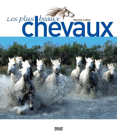 PLUS BEAUX CHEVAUX