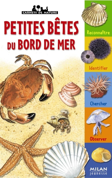 PETITES BETES DU BORD DE MER  (NE)