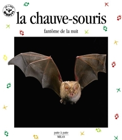 CHAUVE-SOURIS