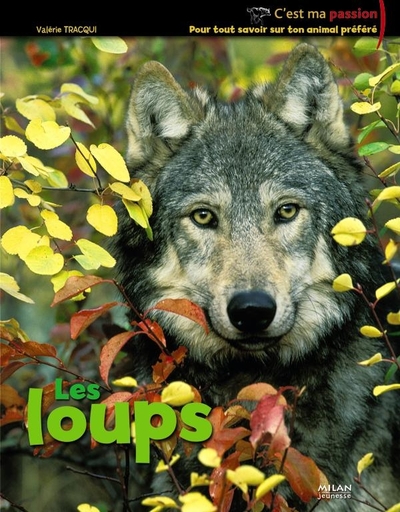 LOUPS