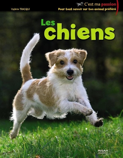 CHIENS