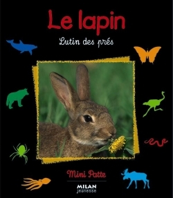 LAPIN