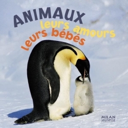 ANIMAUX LEURS AMOURS LEURS BEBES