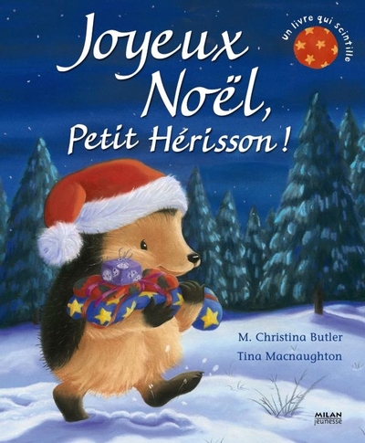 JOYEUX NOEL PETIT HERISSON