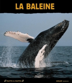 BALEINE