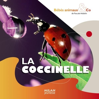 COCCINELLE - BEBES ANIMAUX & CO
