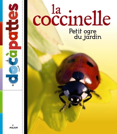 COCCINELLE PETIT OGRE DU JARDIN - DOCAPATTES