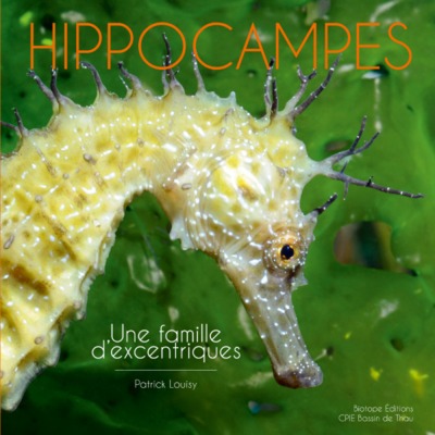 HIPPOCAMPES - UNE FAMILLE D EXCENTRIQUES