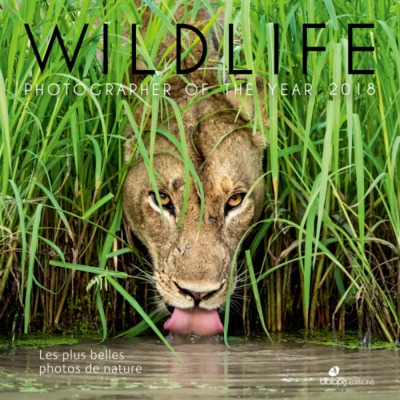 WILDLIFE PHOTOGRAPHER OF THE YEAR 2018 - LES PLUS BELLES PHOTOS DE NATURE