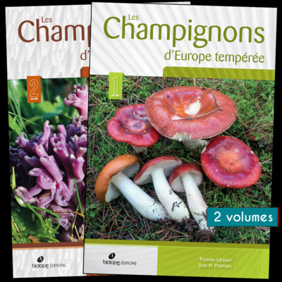 CHAMPIGNONS D´EUROPE TEMPEREE - 2 VOLUMES (2E EDITION)