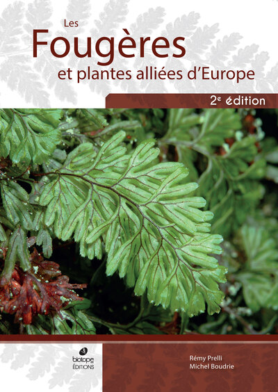 FOUGERES ET PLANTES ALLIEES D´EUROPE (2EME EDITION)