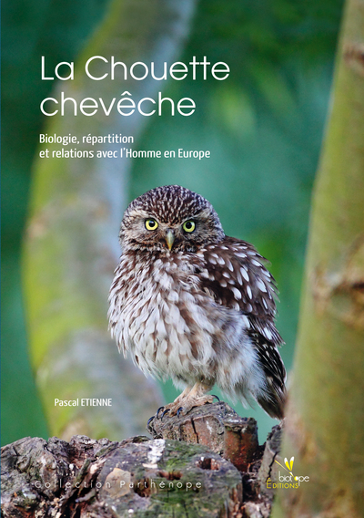 CHOUETTE CHEVECHE. BIOLOGIE, REPARTITION ET RELATION AVECL´HOMME EN EUROPE.