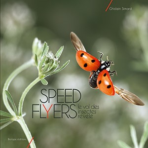 SPEED FLYERS - LE VOL DES INSECTES REVELE