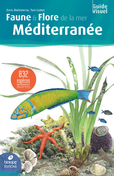 FAUNE & FLORE DE LA MER MEDITERRANEE - 2EME EDITION