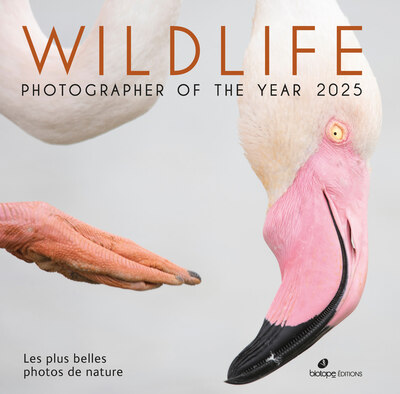 WILDLIFE PHOTOGRAPHER OF THE YEAR 2025 - LES PLUS BELLES PHOTOS DE NATURE