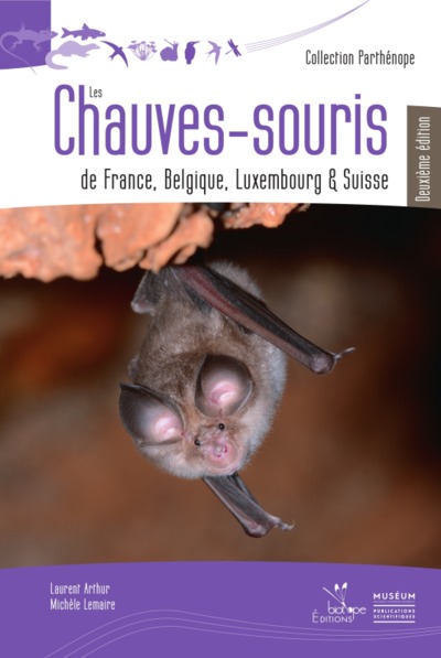 CHAUVES - SOURIS DE FRANCE, BELGIQUE, LUXEMBOURG ET SUISSE - DEUXIEME EDITION