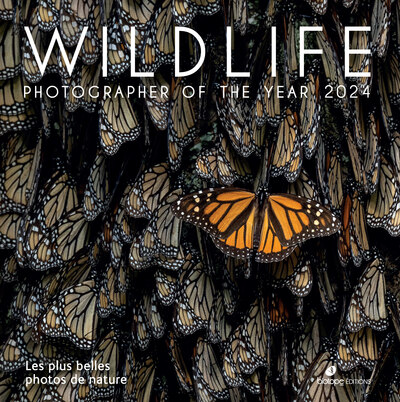 WILDLIFE PHOTOGRAPHER OF THE YEAR 2024 - LES PLUS BELLES PHOTOS DE NATURE