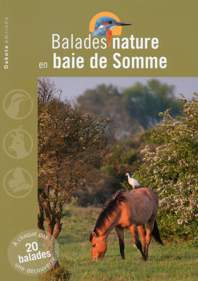 BALADES NATURE EN BAIE DE SOMME