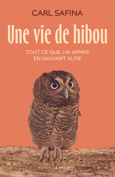 VIE DE HIBOU - TOUT CE QUE J´AI APPRIS EN SAUVANT ALFIE