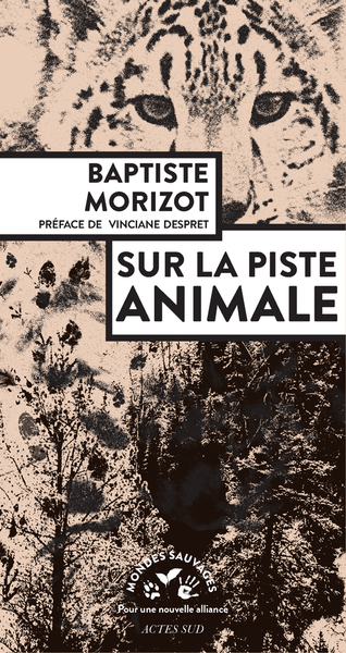 SUR LA PISTE ANIMALE