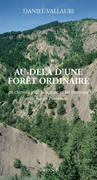 AU-DELA D´UNE FORET ORDINAIRE