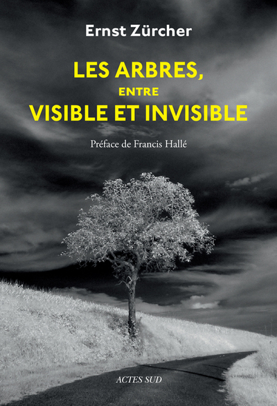 ARBRES, ENTRE VISIBLE ET INVISIBLE