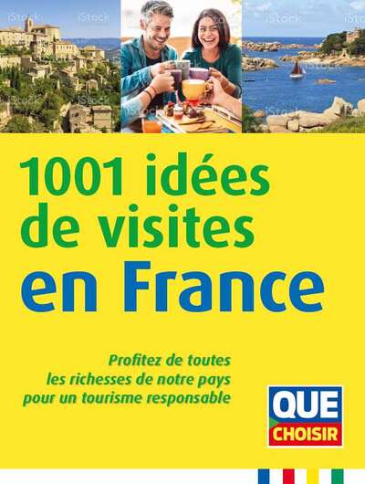 1001 IDEES DE VISITES EN FRANCE - PROFITEZ DE TOUTES LES RICHESSES DE NOTRE PAYS POUR UN TOURISME RE