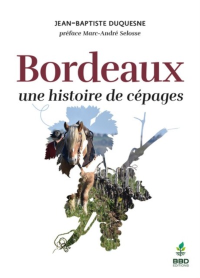 BORDEAUX, UNE HISTOIRE DE CEPAGES.