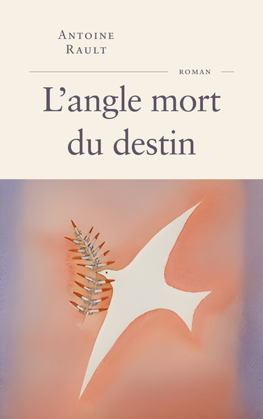 L´ANGLE MORT DU DESTIN