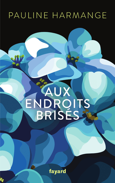 AUX ENDROITS BRISES