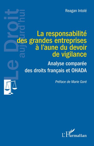 RESPONSABILITE DES GRANDES ENTREPRISES A LAUNE DU DEVOIR DE VIGILANCE - ANALYSE COMPAREE DES DROI