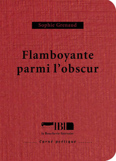 FLAMBOYANTE PARMI L´OBSCUR