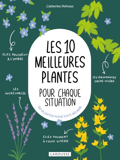 10 MEILLEURES PLANTES POUR CHAQUE SITUATION