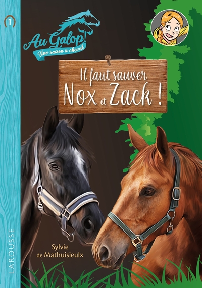 ROMAN AU GALOP, UNE ANNEE A CHEVAL - IL FAUT SAUVER NOX ET ZACH