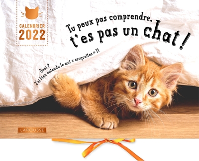 CALENDRIER TU PEUX PAS COMPRENDRE T´ES PAS UN CHAT