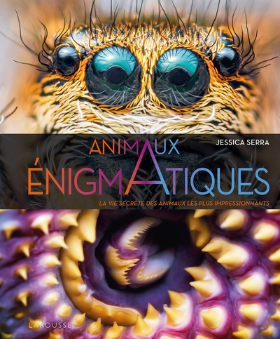 ENIGMATIQUES - LA VIE SECRETE DES ANIMAUX LES PLUS IMPRESSIONNANTS