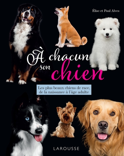 A CHACUN SON CHIEN - LES PLUS BEAUX CHIENS DE RACE, DE LA NAISSANCE A L AGE