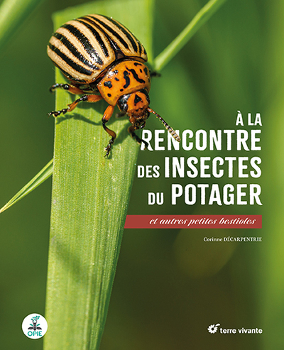 A LA RENCONTRE DES INSECTES DU POTAGER - ET AUTRES PETITES BESTIOLES