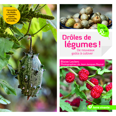 DROLES DE LEGUMES ! NOUVEAUX GOUTS A CULTIVER