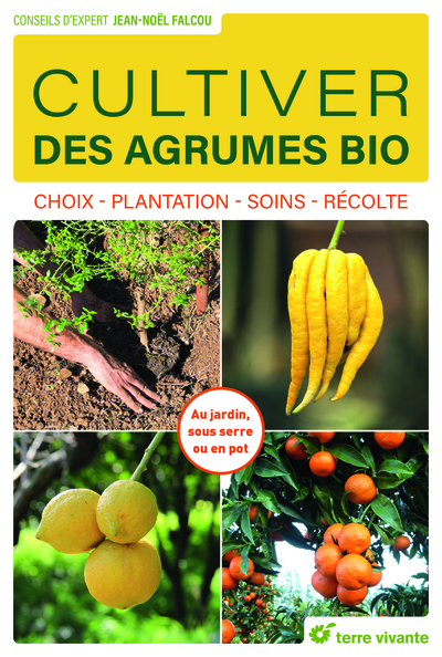 CULTIVER DES AGRUMES BIO - CHOIX - PLANTATION - SOINS - RECOLTE