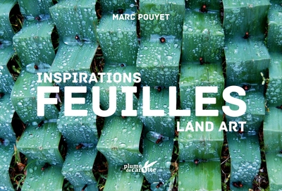 INSPIRATION LAND ART, FEUILLES