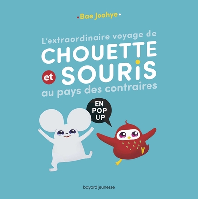 L´EXTRAORDINAIRE VOYAGE DE CHOUETTE ET SOURIS AU PAYS DES CONTRAIRES - EN POP-UP