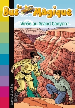VIREE AU GRAND CANYON N20
