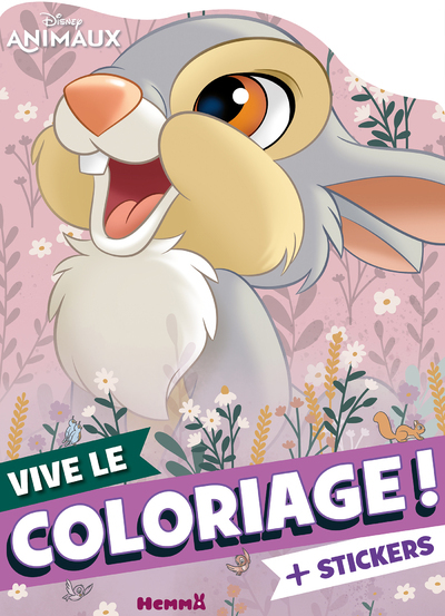 DISNEY ANIMAUX - VIVE LE COLORIAGE ! (GRAND PANPAN)