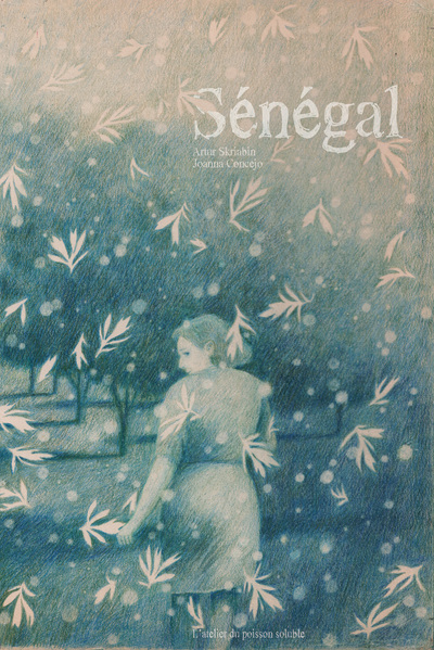 SENEGAL - ILLUSTRATIONS, COULEUR