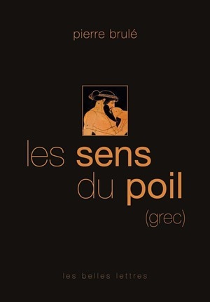 SENS DU POIL (LES)