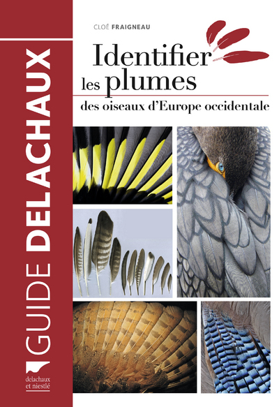 IDENTIFIER LES PLUMES DES OISEAUX D´EUROPE OCCIDENTALE
