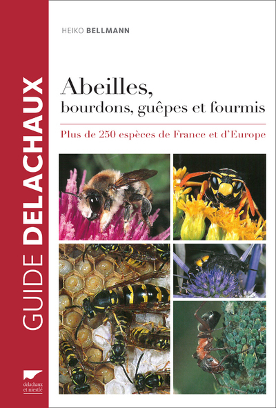 ABEILLES, BOURDONS, GUEPES ET FOURMIS . PLUS DE 250 ESPECES DE FRANCE ET D´EUROPE